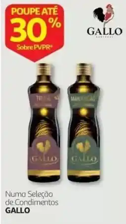 Auchan Numa Seleção de Condimentos Gallo promoção