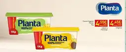 Recheio Planta - creme verdulce 100% natural promoção