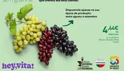 Recheio Desodorante en aceite de oliva promoção