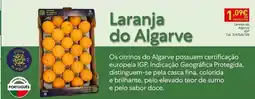 Recheio Algarve - laranja do promoção