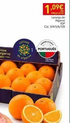 Recheio Algarve - laranja do algave promoção