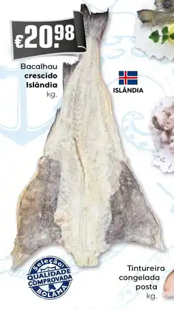 Bolama Bacalhau crescido Islândia promoção
