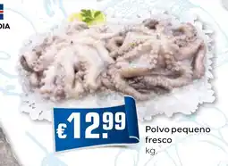 Bolama Polvo pequeno fresco promoção