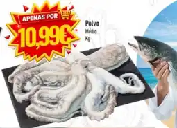 Belita Polvo Médio promoção