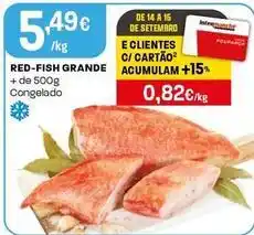Intermarché Red-fish grande congelado promoção