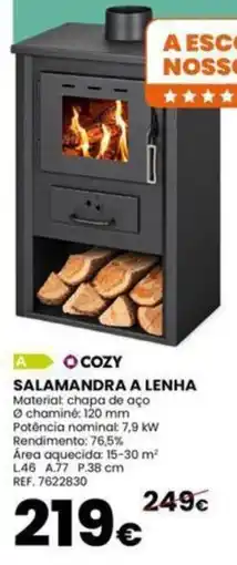 Casa Peixoto Cozy salamandra a lenha promoção