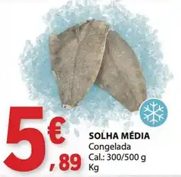 E.Leclerc Solha média promoção