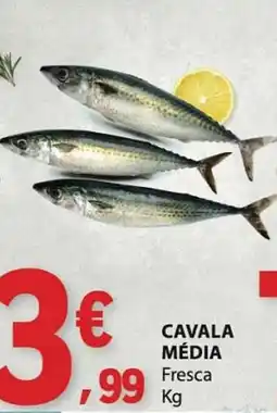 E.Leclerc Cavala média promoção
