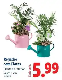 Lidl Regador com Flores promoção