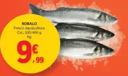 E.Leclerc Robalo promoção
