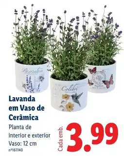 Lidl Lavanda em Vaso de Cerâmica promoção