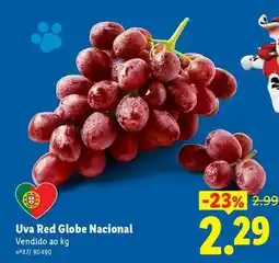 Lidl Globe - uva red nacional promoção