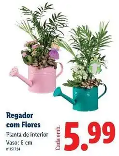 Lidl com - regador com flores promoção