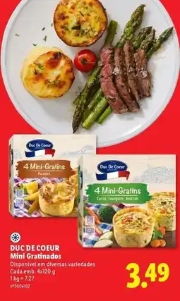 Lidl Mini - gratinades promoção