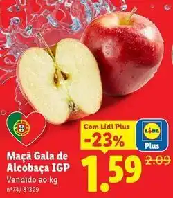 Lidl com - maçã gala de alcobaça igp promoção