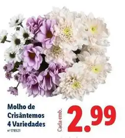 Lidl Molho de cristanemos 4 variedades promoção