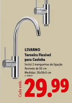 Lidl Torneira flexivel para cozinha promoção