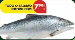 Pingo Doce Todo o salmão inteiro promoção