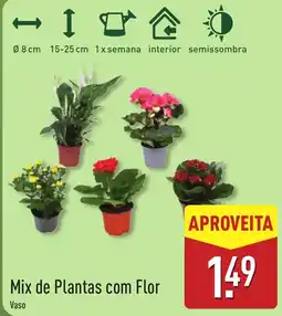 ALDI Mix de Plantas com Flor Vaso promoção