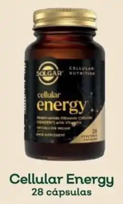 Celeiro Cellular Energy promoção