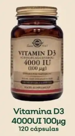 Celeiro Vitamina D3 4000UI100µg promoção