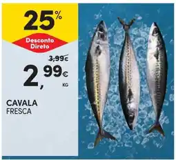 Continente Cavala fresca promoção
