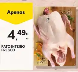 Continente Pato inteiro fresco promoção