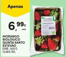 Continente Morango biológico quinta santo estevão promoção