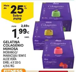 Continente gelatina colagênio mimosa promoção