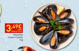 Recheio Mexilhão Inteiro Cozido promoção