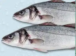 Recheio Salmão promoção
