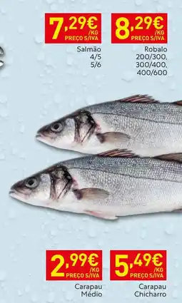 Recheio Salmão promoção