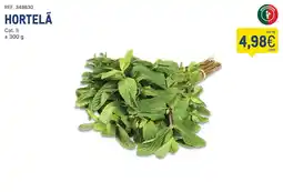 Makro hortelã promoção