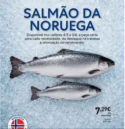 Recheio Salmão da noruega promoção