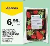 Continente Bom dia Morango biologico quinta santo estevao promoção