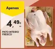 Continente Bom dia Pato - inteiro fresco promoção