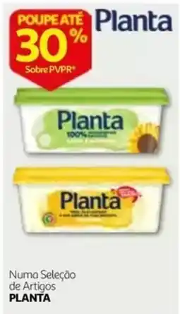 Auchan Planta promoção