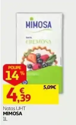 Auchan Natas UHT Mimosa promoção