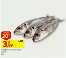 Auchan Carapau Grande Fresco Inteiro promoção