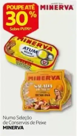 Auchan Conservas de Peixe Minerva promoção