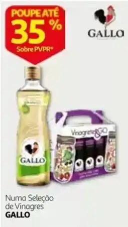 Auchan Numa Seleção de Vinagres Gallo promoção