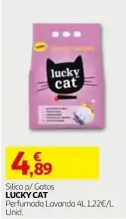 Auchan Silica p/ Gatos Lucky Cat promoção