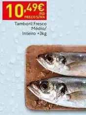 Recheio Tamboril fresco medio/ inteiro promoção