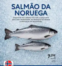 Recheio A+ - salmão da noruega promoção