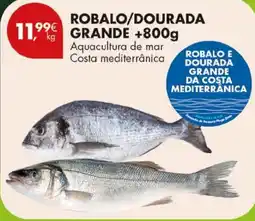 Pingo Doce Robalo/dourada grande promoção