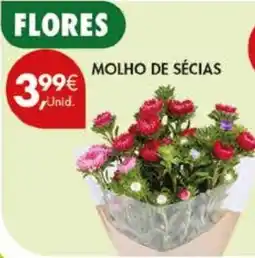 Pingo Doce Flores molho de sécias promoção