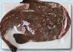 Recheio Tamboril Fresco Médio/ Inteiro +3kg promoção