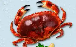 Recheio Sapateira Cozida Pasteurizada promoção