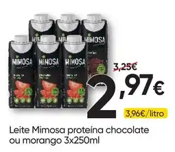 Froiz Leite mimosa proteína chocolate ou morango promoção
