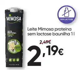 Froiz Leite mimosa proteína baunilha promoção